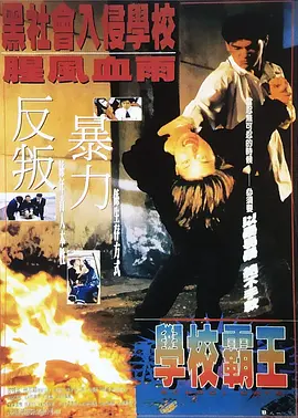 xvideos中文版