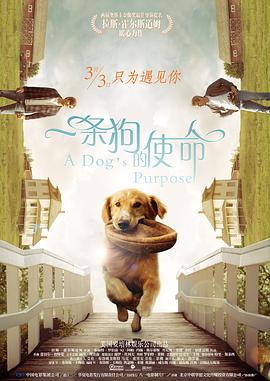 国产4级片