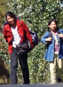 来吧姐姐