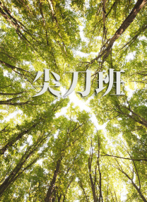 中文字幕一区二区三区视频播放