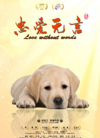 叱咤之城电视剧在线观看