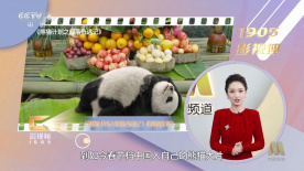 中文字幕精品一区二区精品